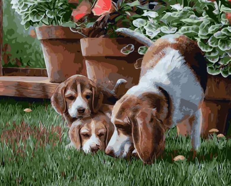 Dog Family Paint by Numbers