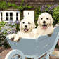 Dogs in Wheelbarrow Paint by Numbers
