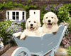 Dogs in Wheelbarrow Paint by Numbers