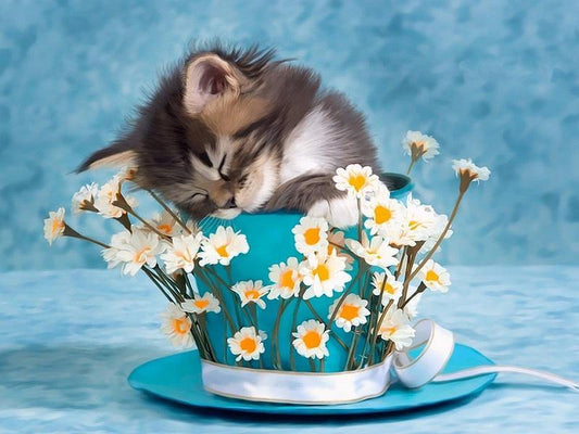 Cute Kitty Paint by Numbers