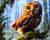 Owl in the Forest Painting by Numbers