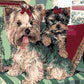 Cute Puppies Painting by Numbers