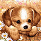 Cute Puppy Paint by Numbers
