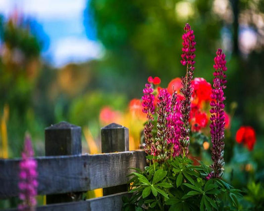 Decorative Flowers Painting by Numbers