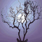 Deer Antlers Fantasy Tree Paint by Numbers