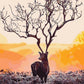 Deer DIY Painting Kit