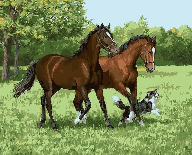 Dog & Horses Paint by Numbers