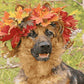 Dog Paint by Numbers