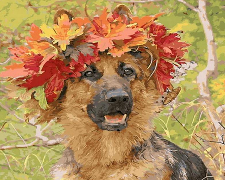 Dog Paint by Numbers