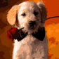 Dog with Rose Paint by Numbers