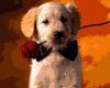 Dog with Rose Paint by Numbers