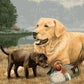 Dogs & Duck Painting by Numbers