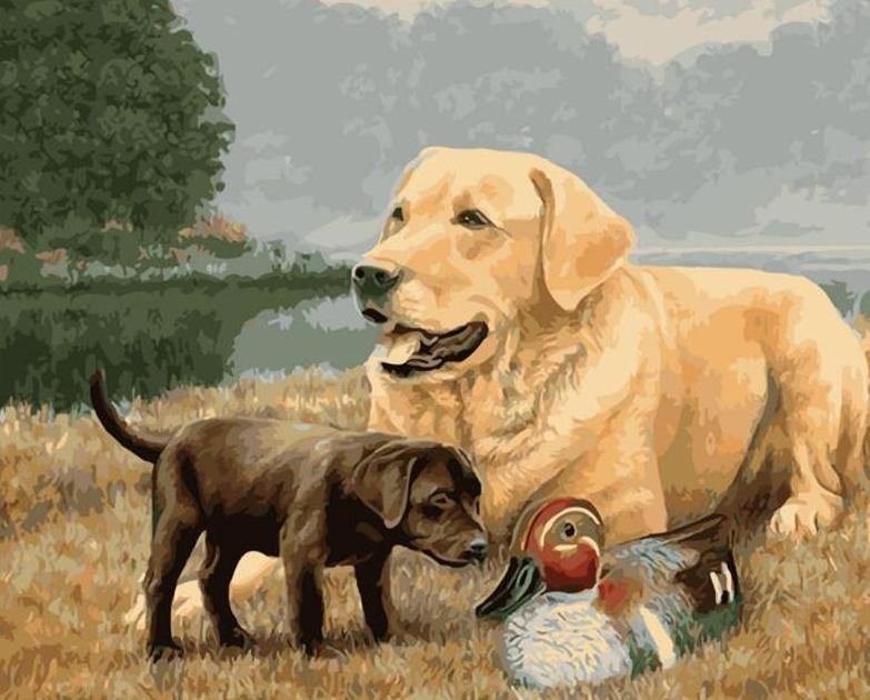 Dogs & Duck Painting by Numbers