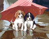Dogs Under Umbrella Paint by Numbers
