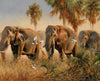 Elephant Family Paint by Numbers