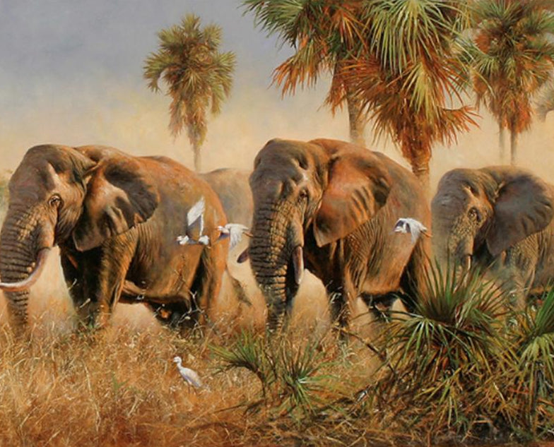 Elephant Family Paint by Numbers