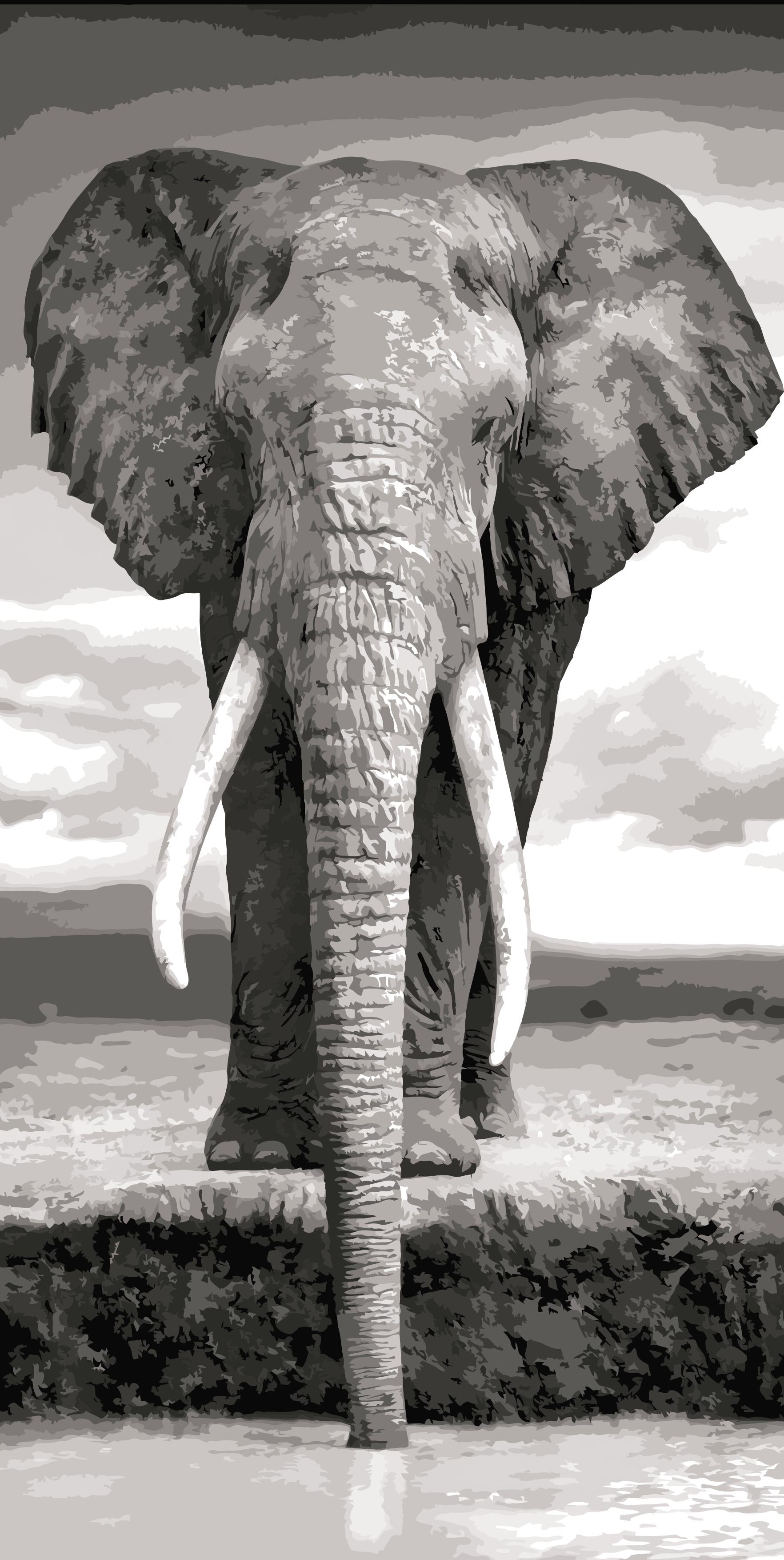 Elephant Painting by Numbers