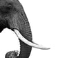 Elephant Trunk Paint by Numbers