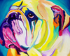 English Bulldog Paint by Numbers