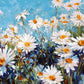 Daisy Paint by Numbers