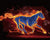 Fire Horse Fantasy Paint by Numbers