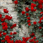 Rose Wall Paint by Numbers