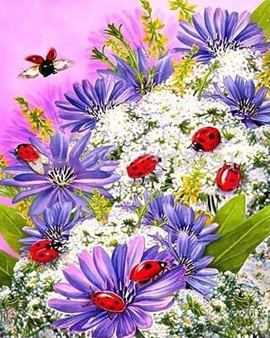 Flowers & Ladybugs Paint by Numbers