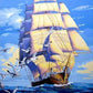 Pelicans & Ship Paint by Numbers
