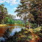 Forest & Canal Paint by Numbers