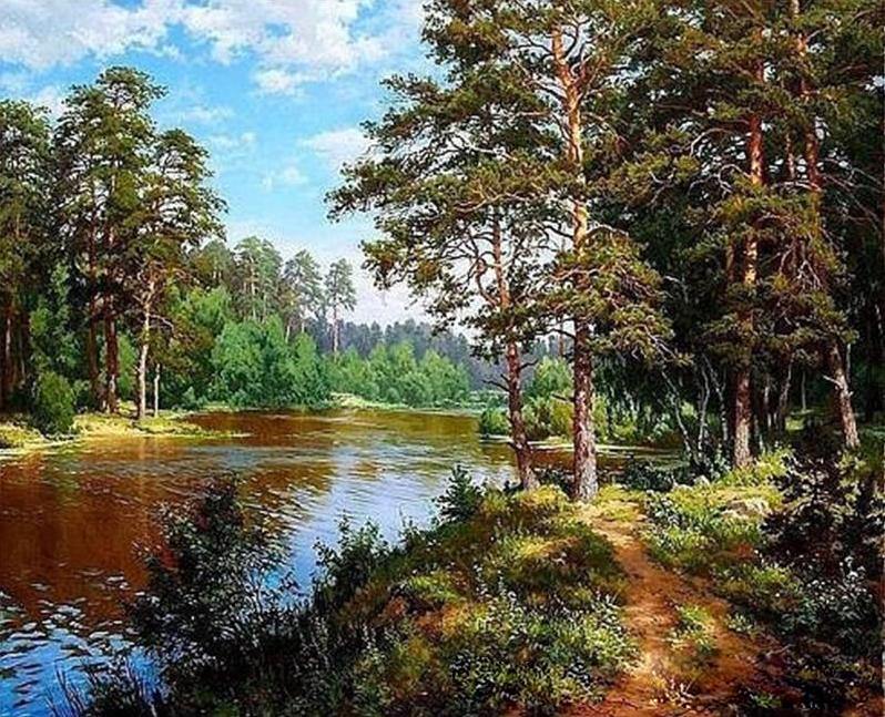 Forest & Canal Paint by Numbers