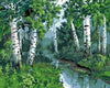 Forest Trees Paint by Numbers