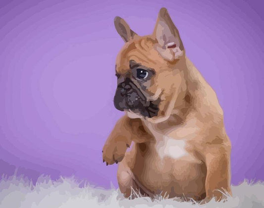 French Bulldog Painting by Numbers