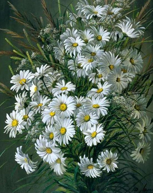 Gorgeous Daisies Paint by Numbers Kit