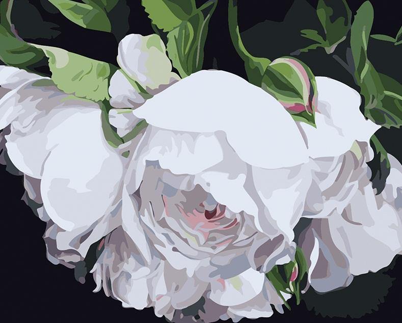 Gorgeous Floral Art Paint by Numbers