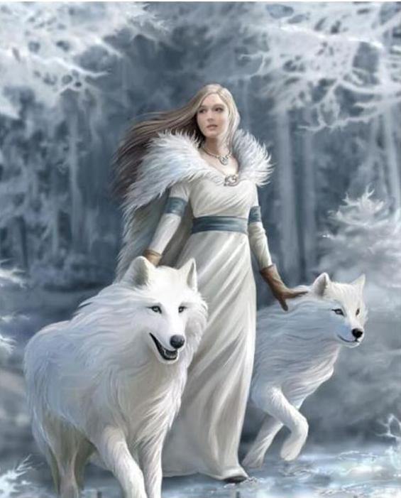 Wolf Lady Paint by Numbers