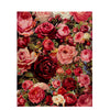 Gorgeous Rose Paint by Numbers