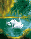 Gorgeous Swans Family Painting Kit