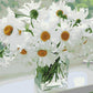 White Daisies Vase Paint by Numbers