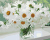 White Daisies Vase Paint by Numbers