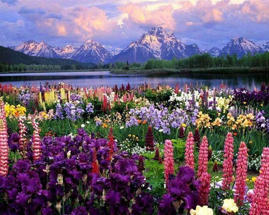 Grand Tetons Paint by Numbers Kit