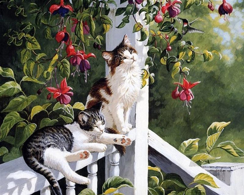 Cats Pair Paint by Numbers
