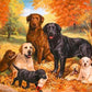 Dogs & Puppies Paint by Numbers