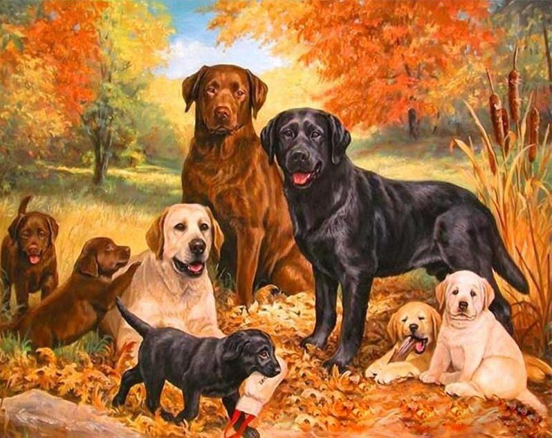Dogs & Puppies Paint by Numbers