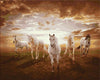 White Horses Paint by Numbers