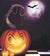 Halloween Night Paint by Numbers