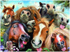 Happy Horses Paint by Numbers