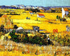  Van Gogh Harvest Paint by Numbers