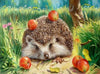 Hedgehog DIY Painting Kit