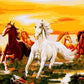 Herd of Horses Paint by Numbers