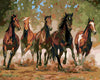 Herd of Horses Paint by Numbers